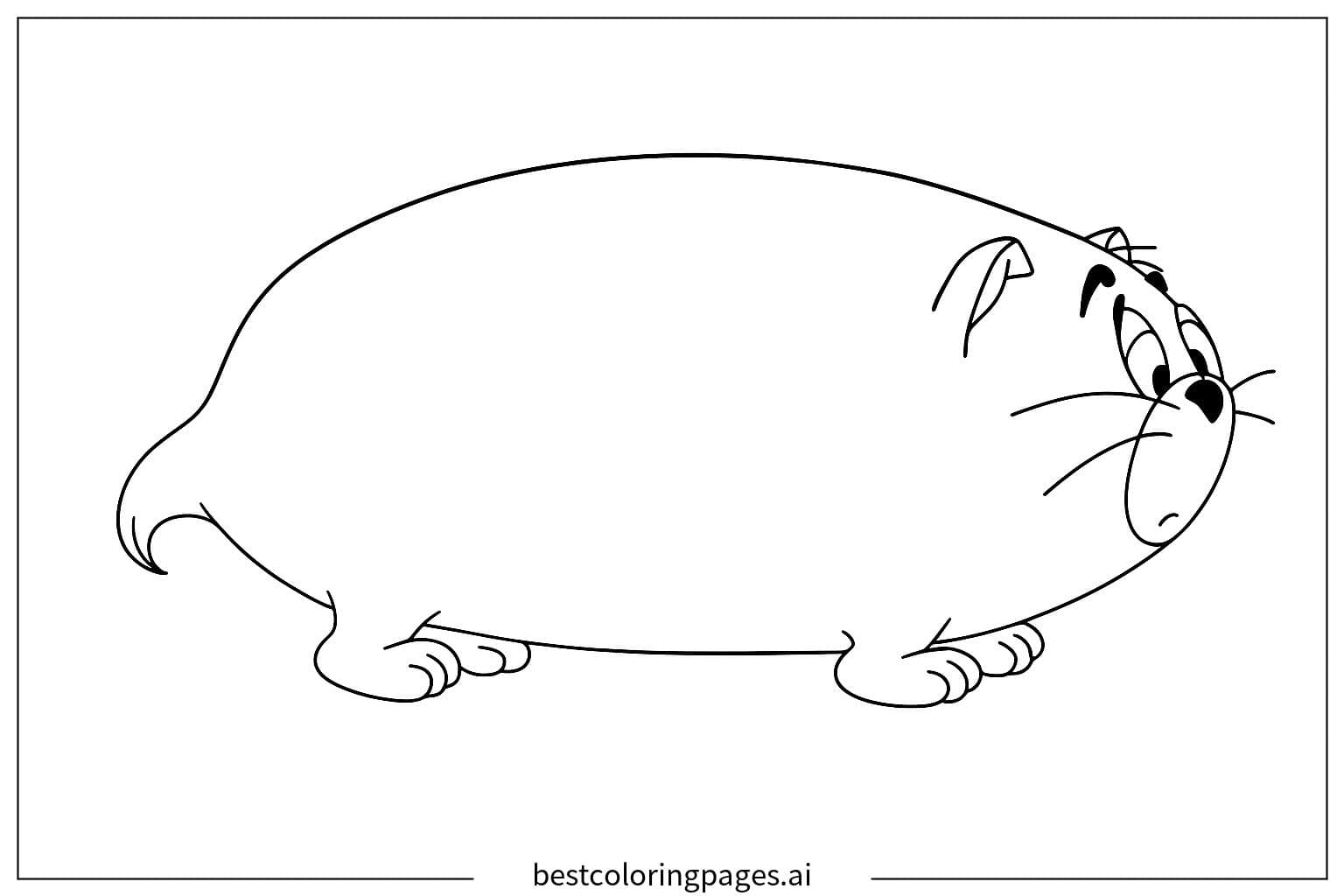 Tom the Plump Cat