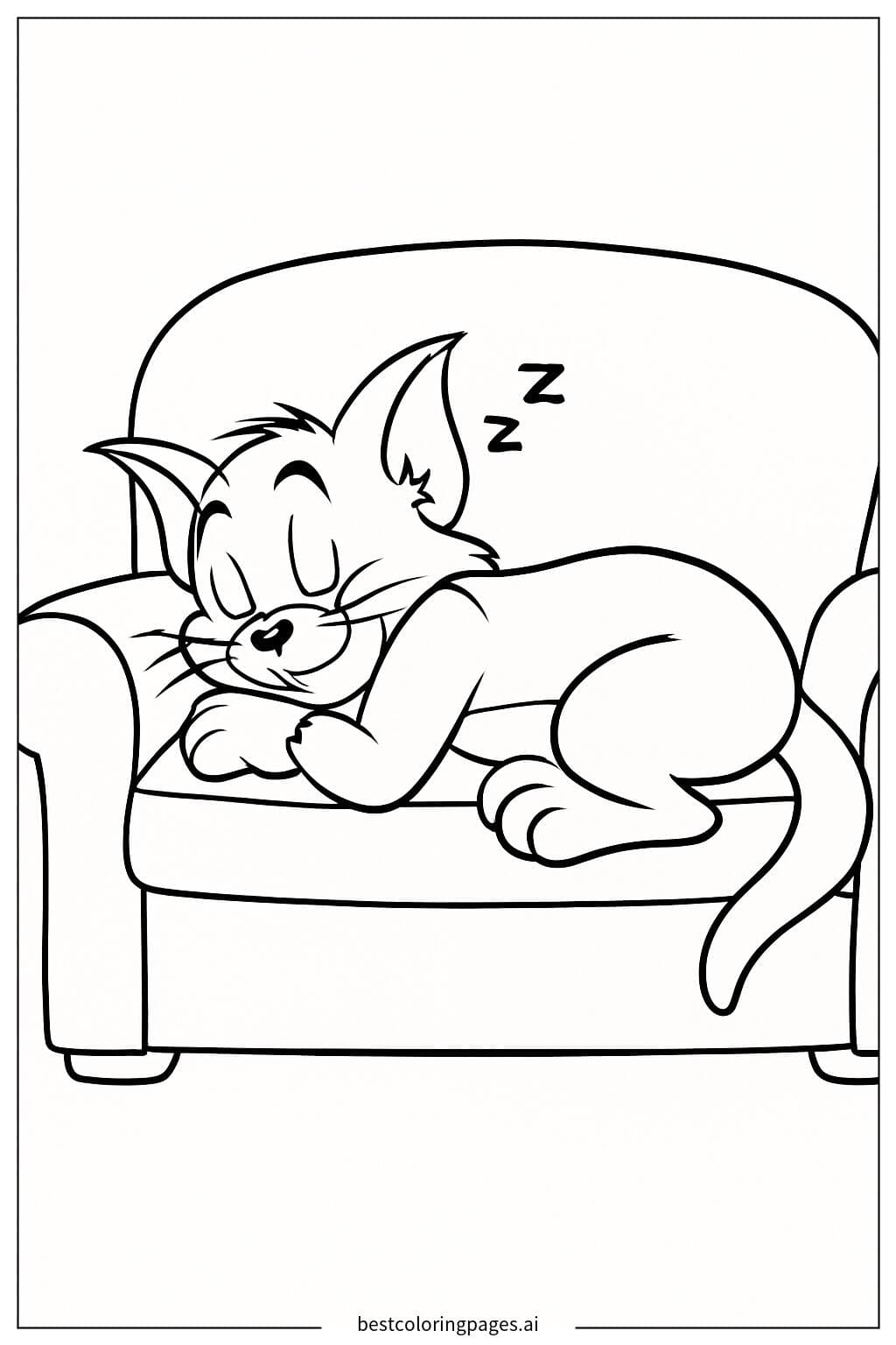Tom Sleeping Peacefully on a Couch