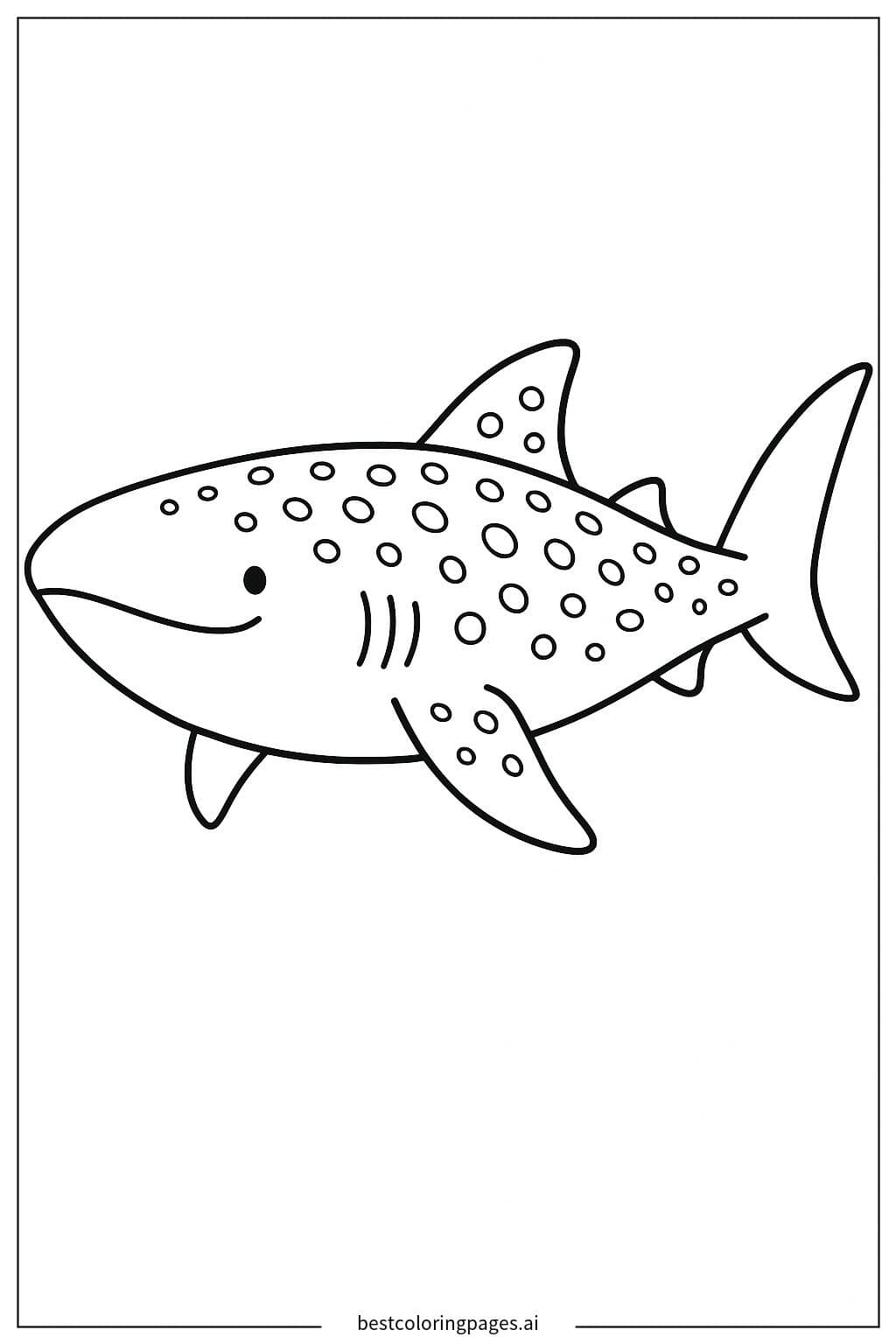 Whale Shark Adventure