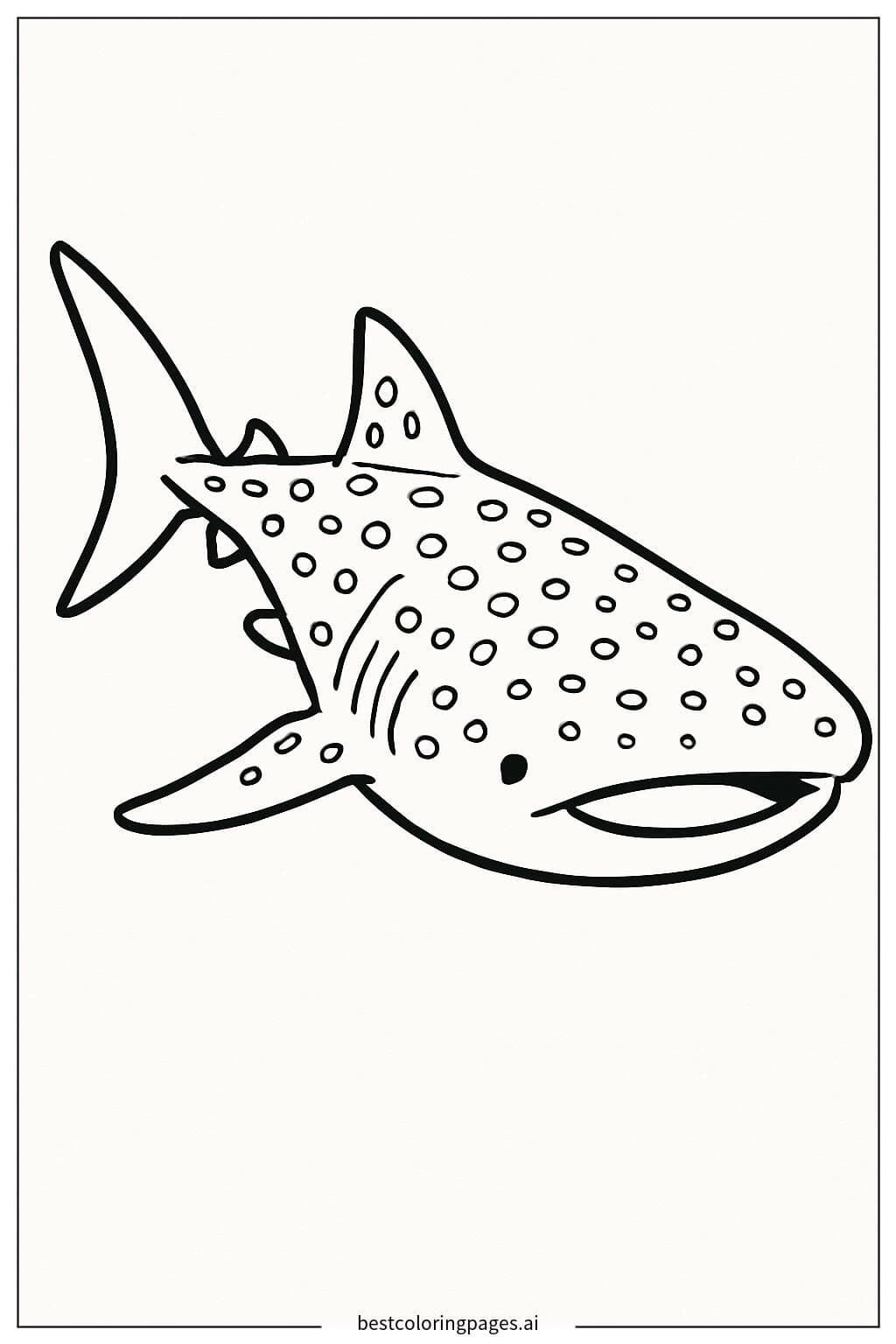 Whale Shark Swimming in Open Water