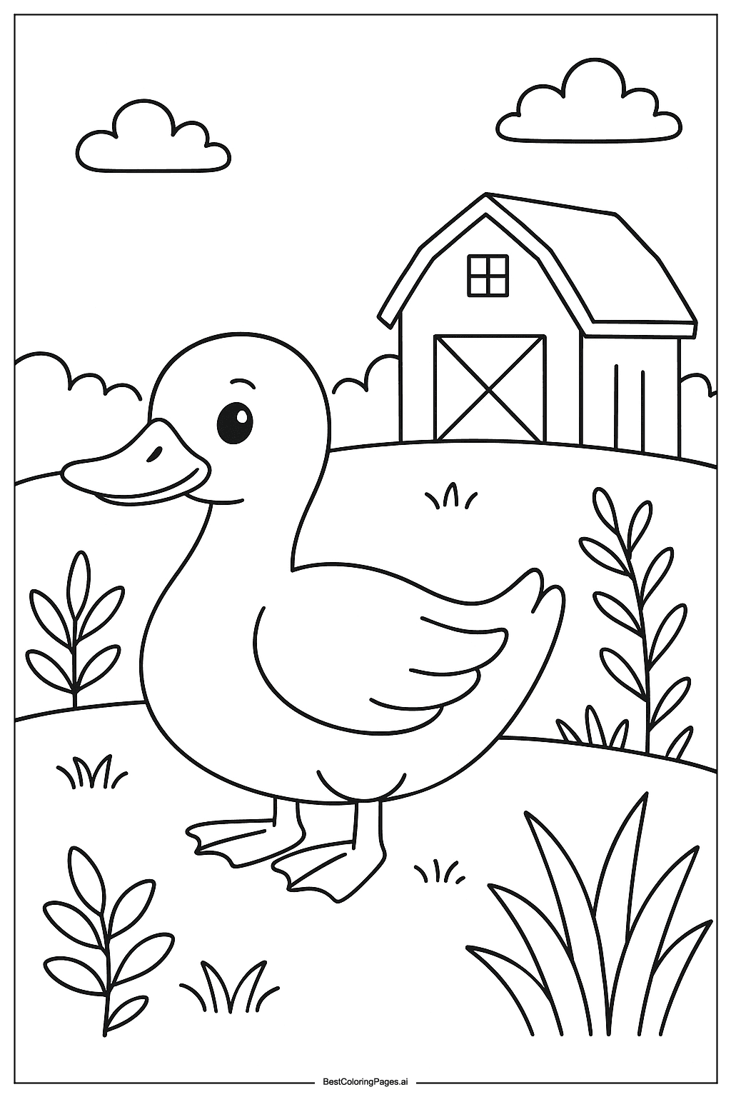 Duck in farm