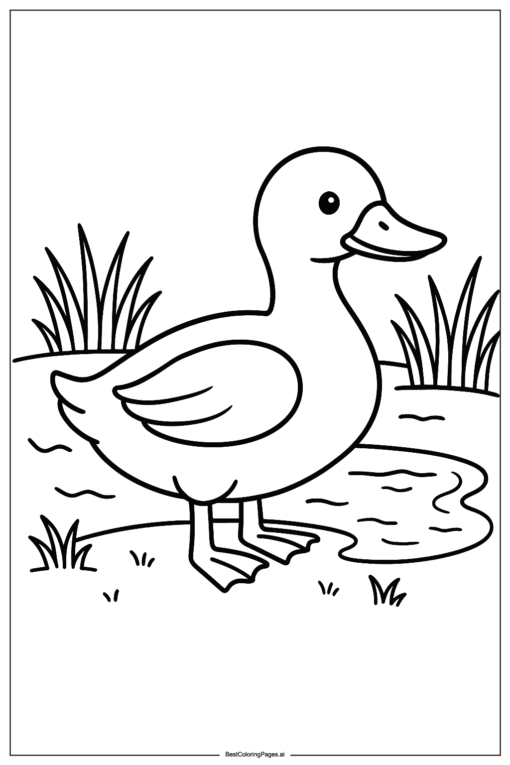 Duck near pond