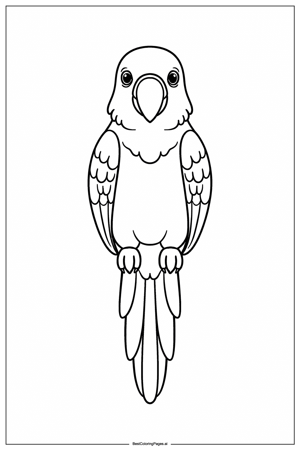 鸚鵡的正面特寫 著色圖