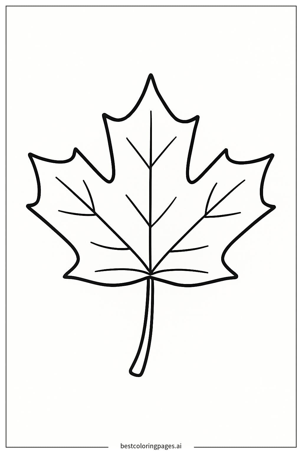 Uma única folha de bordo