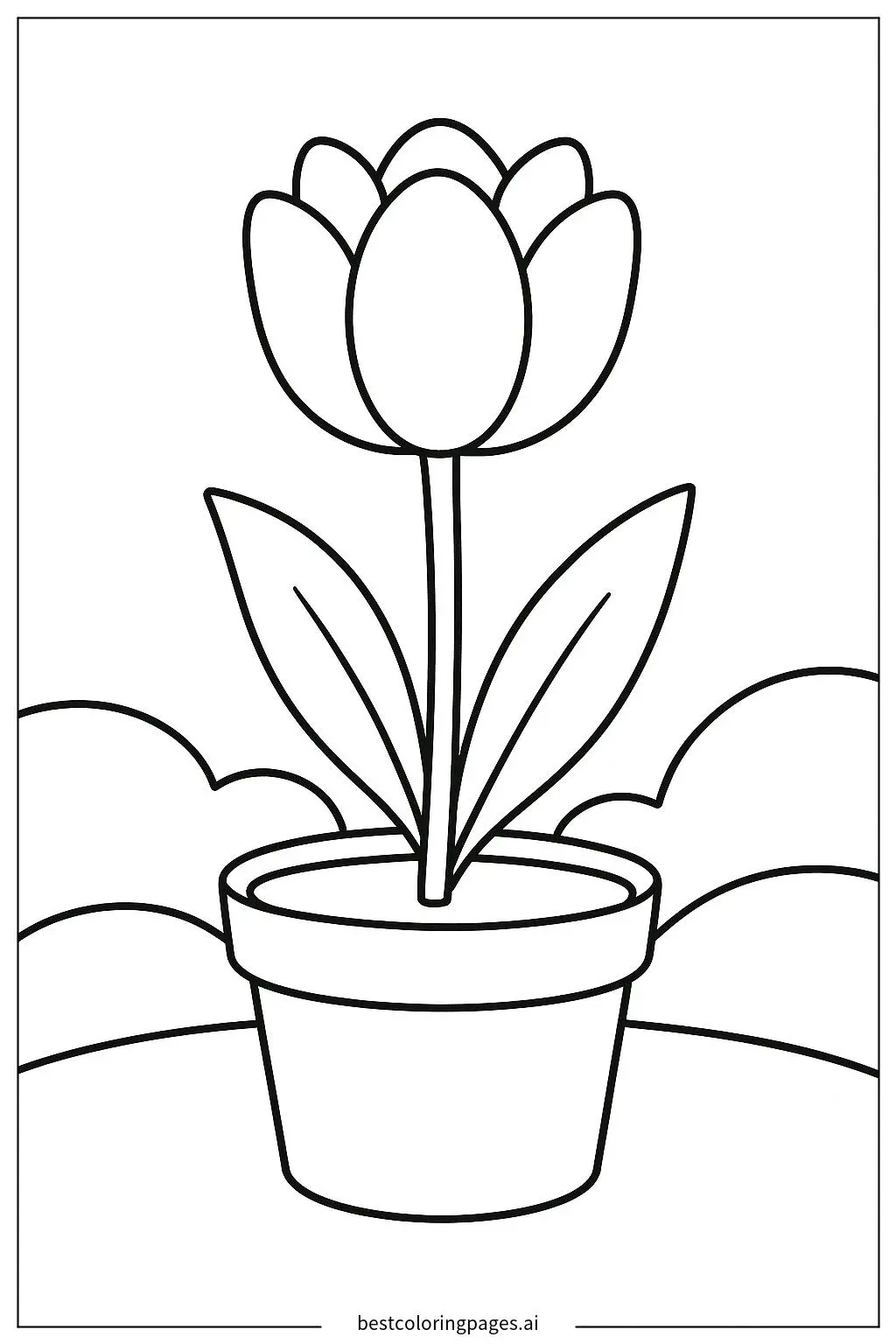 A Single Tulip in Bloom