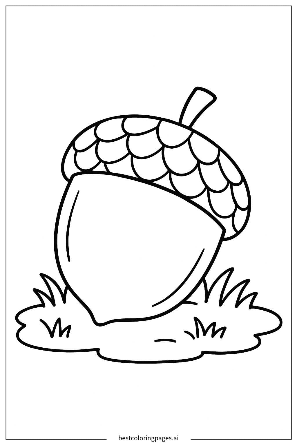 Acorn Resting on Grass
