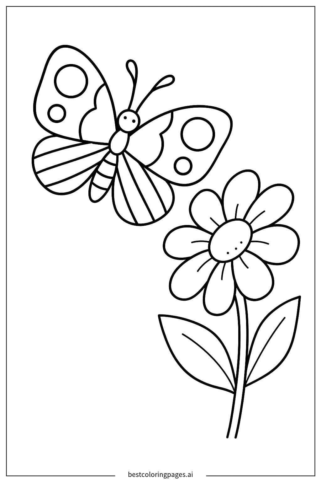 Butterfly and a Lovely Bloom