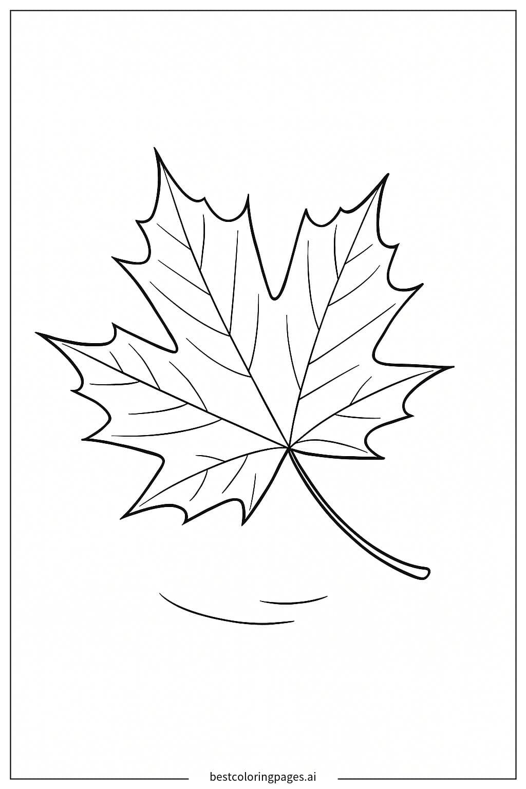 Folha de bordo flutuando no ar