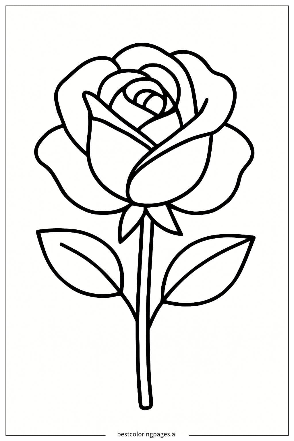 간단한 색칠을 위한 장미 윤곽