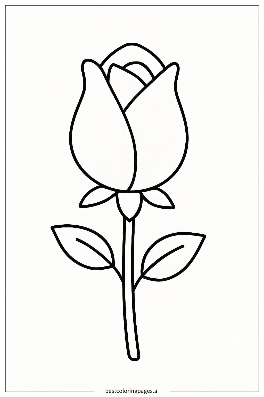 막 피어나는 장미 봉오리