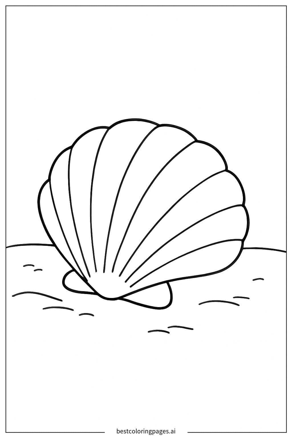 Seashell on the Beach