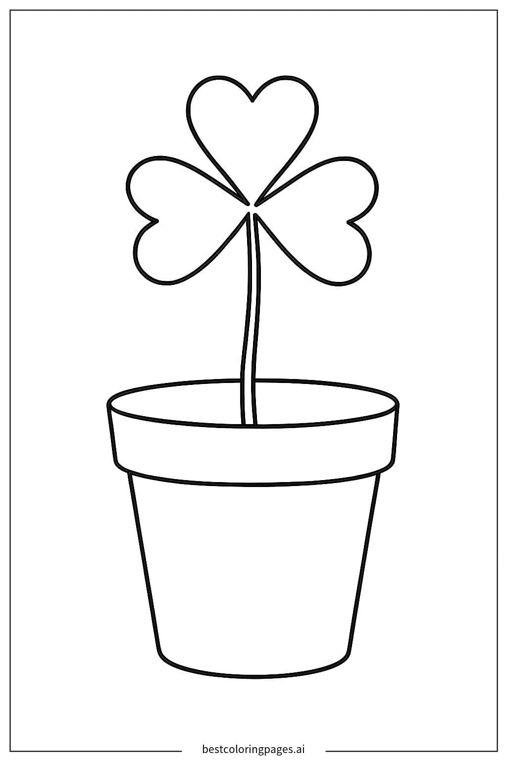 Shamrock in a Pot