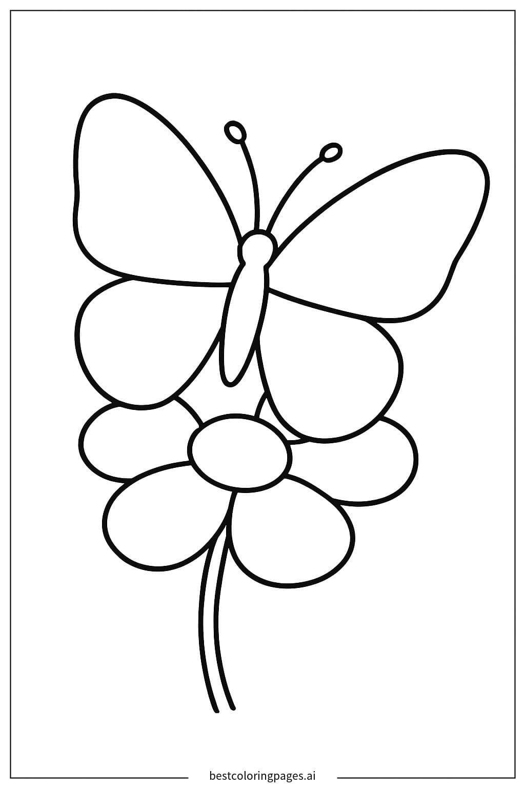 Butterfly Resting on a Flower