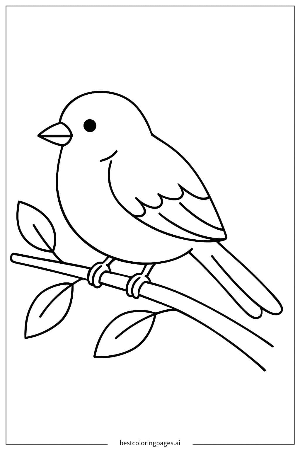 Sparrow Sitting on a Branch