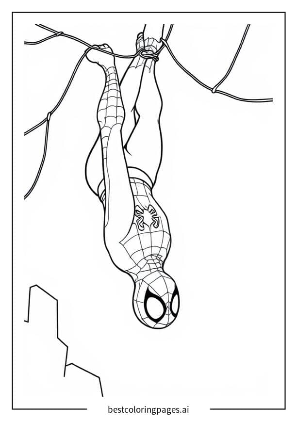 ภาพระบายสี สไปเดอร์แมนห้อยหัวลงจากใยแมงมุม