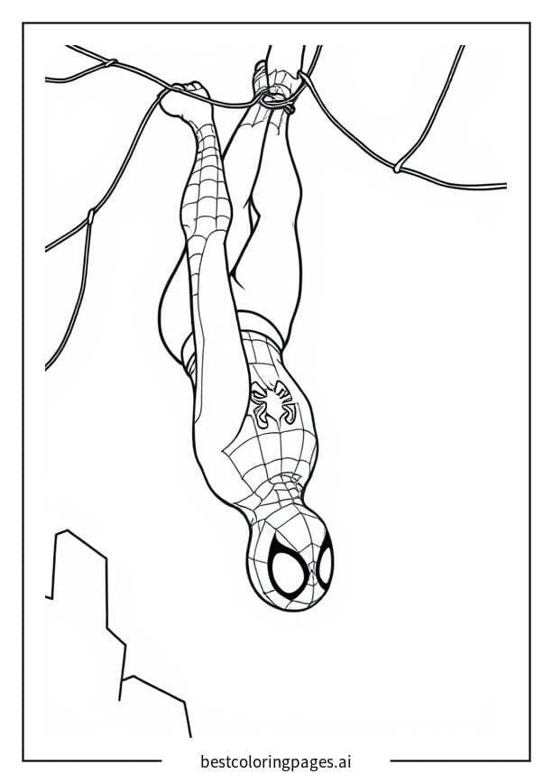 Spider-Man kopfüber an einem Netz hängend Ausmalbilder