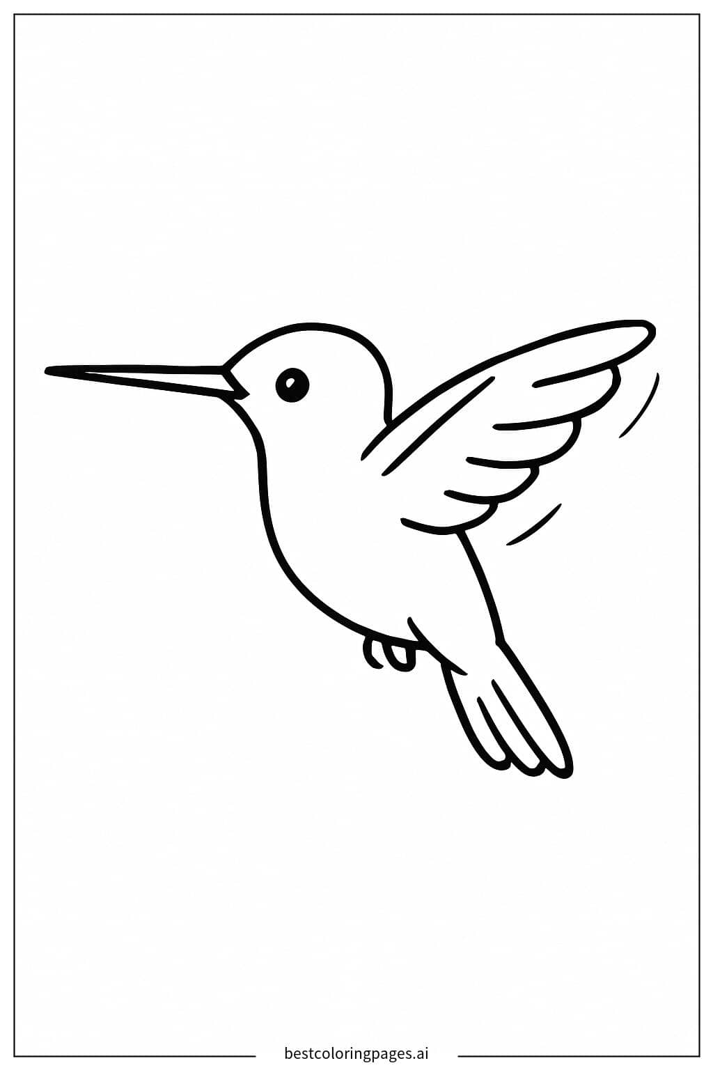 작은 벌새의 날갯짓 색칠공부