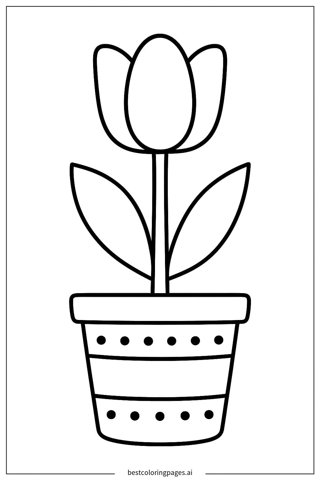 Beautiful Tulip in a Flower Pot