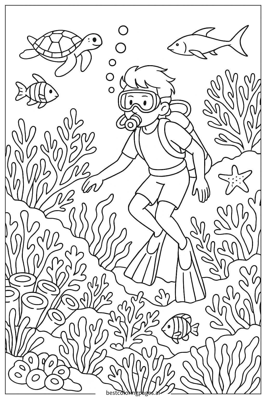 Exploring the Coral Reefs Under the Sea