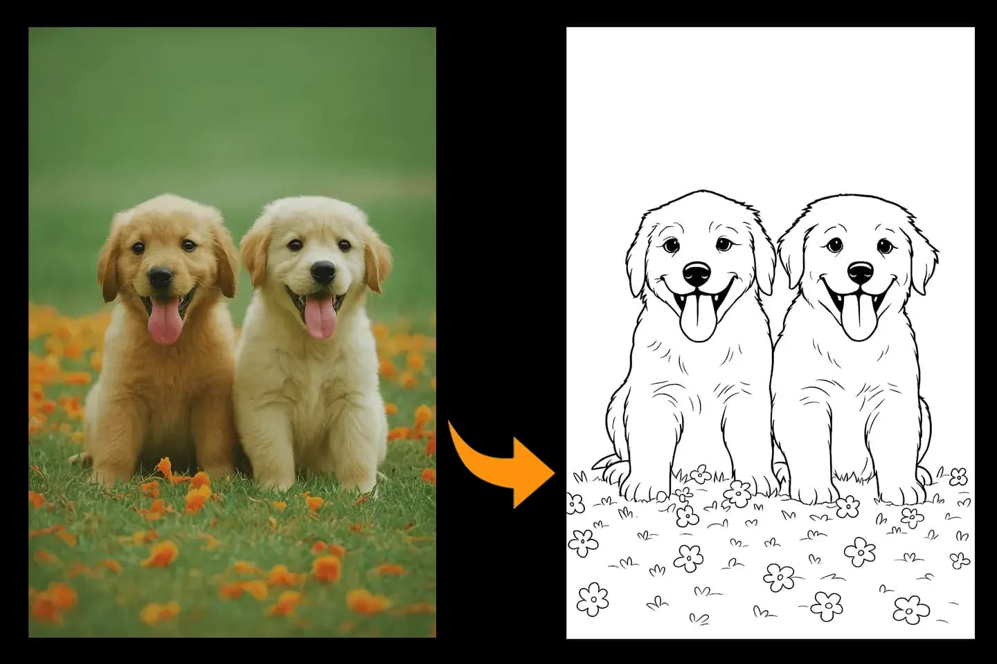 Before and after example of turning a photo of two golden retriever puppies into a printable coloring page.